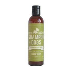 Organic Shampoo