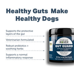 4 Leaf Rover Gut Guard - Improved Gut Health & Immune System