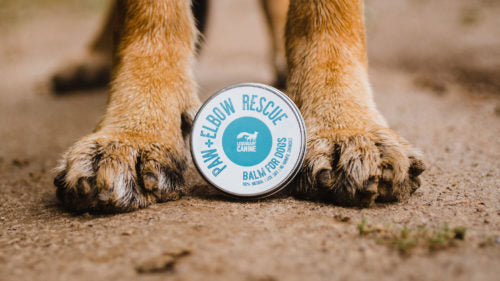 BCR Dog Paw and Elbow Rescue